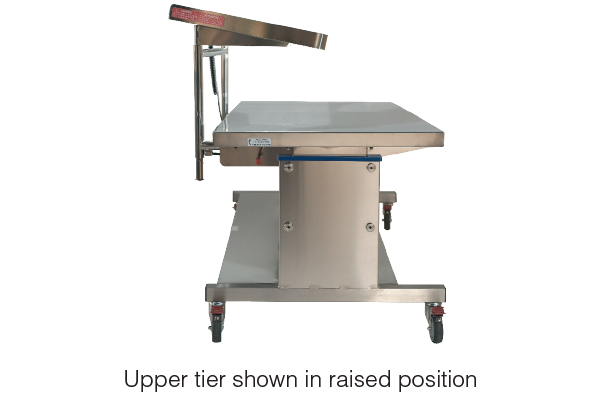 Space Station Adjustable Illuminated Two Tier Back Table