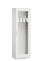 Catheter Cabinet -  Evolve FlexCell Series