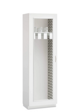 Catheter Cabinet -  Evolve FlexCell Series