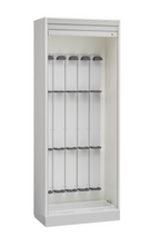 TEE Probe Cabinet – holds 5 probes