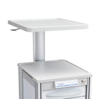 Adjustable Work Surface