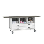 ECP Cart with Drawers and 2 Center Columns