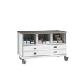 ECP Cart with Drawers and 2 Center Columns
