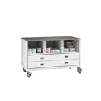 ECP Cart with Drawers and 2 Center Columns