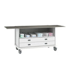 ECP Cart with Drawers and Dividers