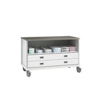 ECP Cart with Drawers and Dividers