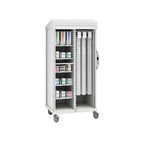 Roam 2 EP Cart